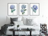 watercolour hydrangea blue wall art