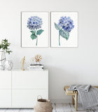 Watercolour Hydrangea Art Print, Botanical Print Set of 3 Prints, living room wall art decor