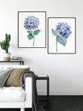 Watercolour Hydrangea Art Print, Botanical Print Set of 3 Prints, living room wall art decor