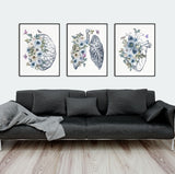 Anatomy Prints Set of 3