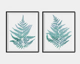 Turquoise wall art fern prints